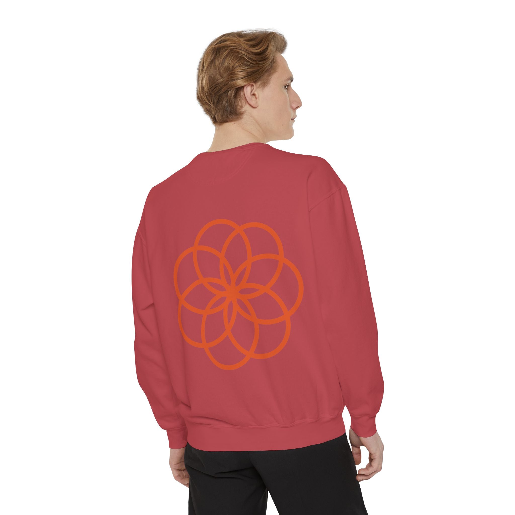 Unisex Garment-Dyed Sweatshirt - planetplanasspace