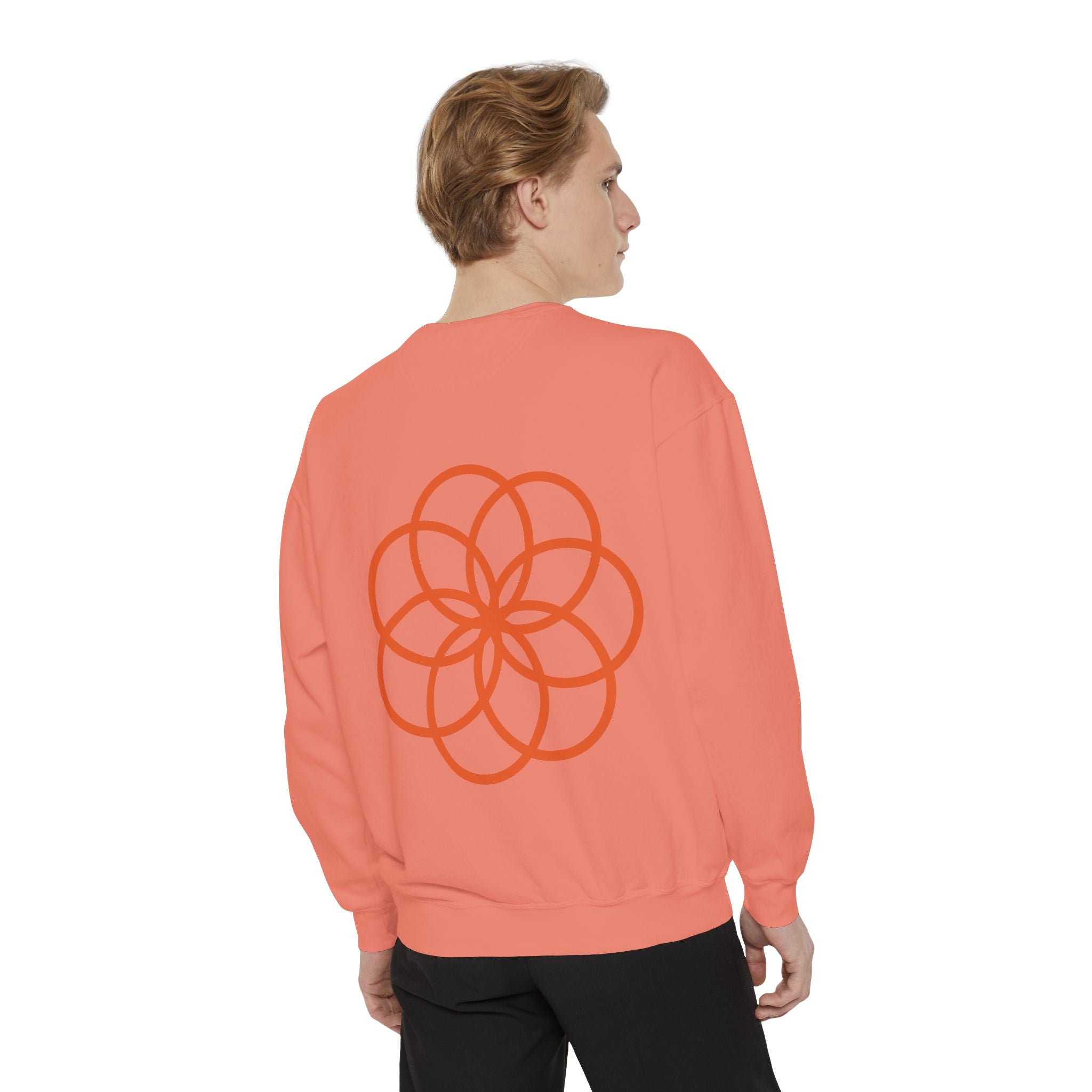 Unisex Garment-Dyed Sweatshirt - planetplanasspace