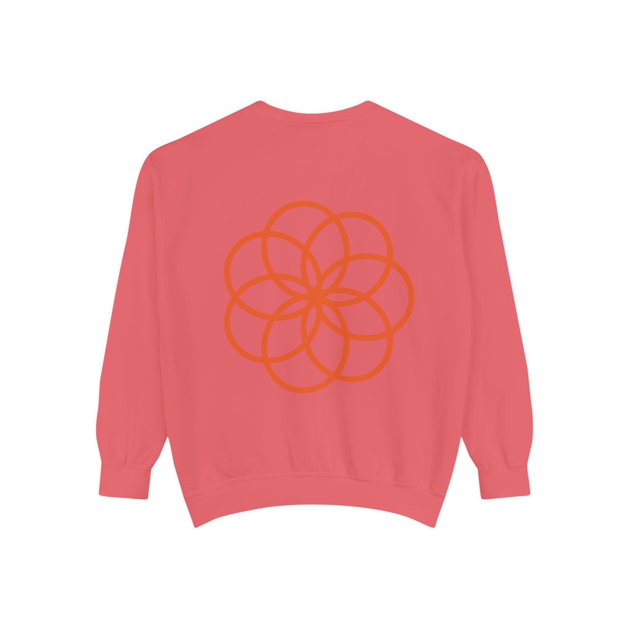 Unisex Garment-Dyed Sweatshirt - planetplanasspace