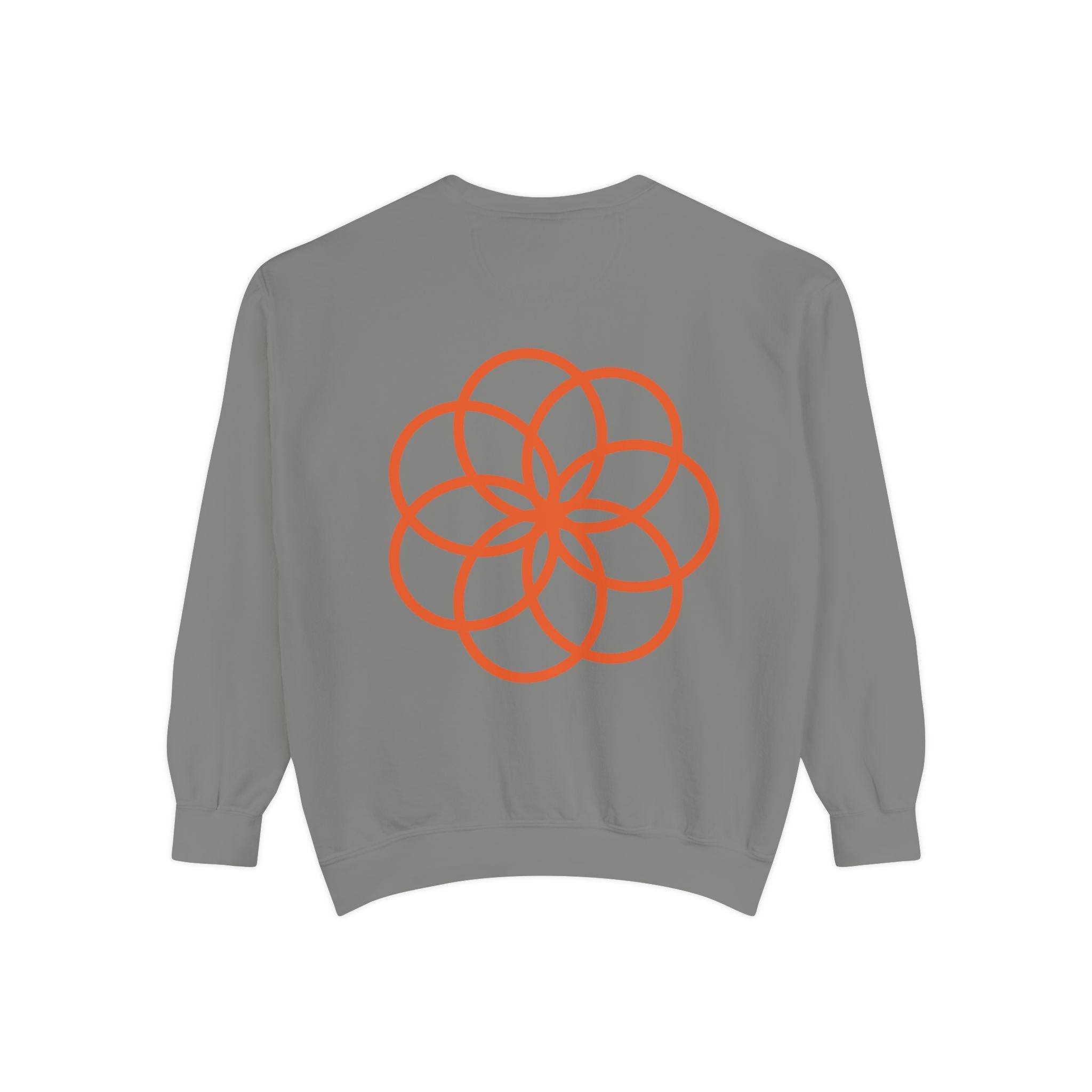 Unisex Garment-Dyed Sweatshirt - planetplanasspace