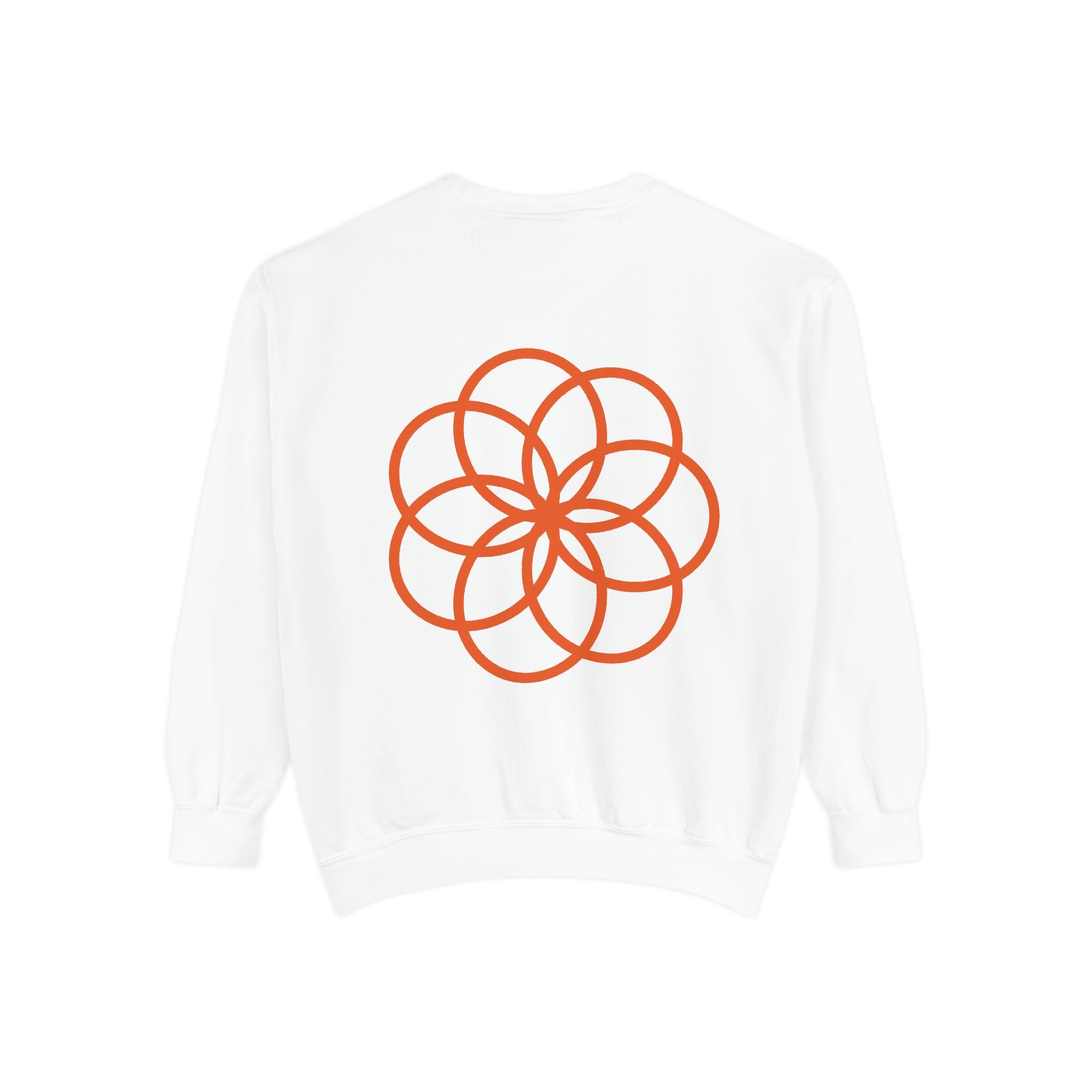 Unisex Garment-Dyed Sweatshirt - planetplanasspace