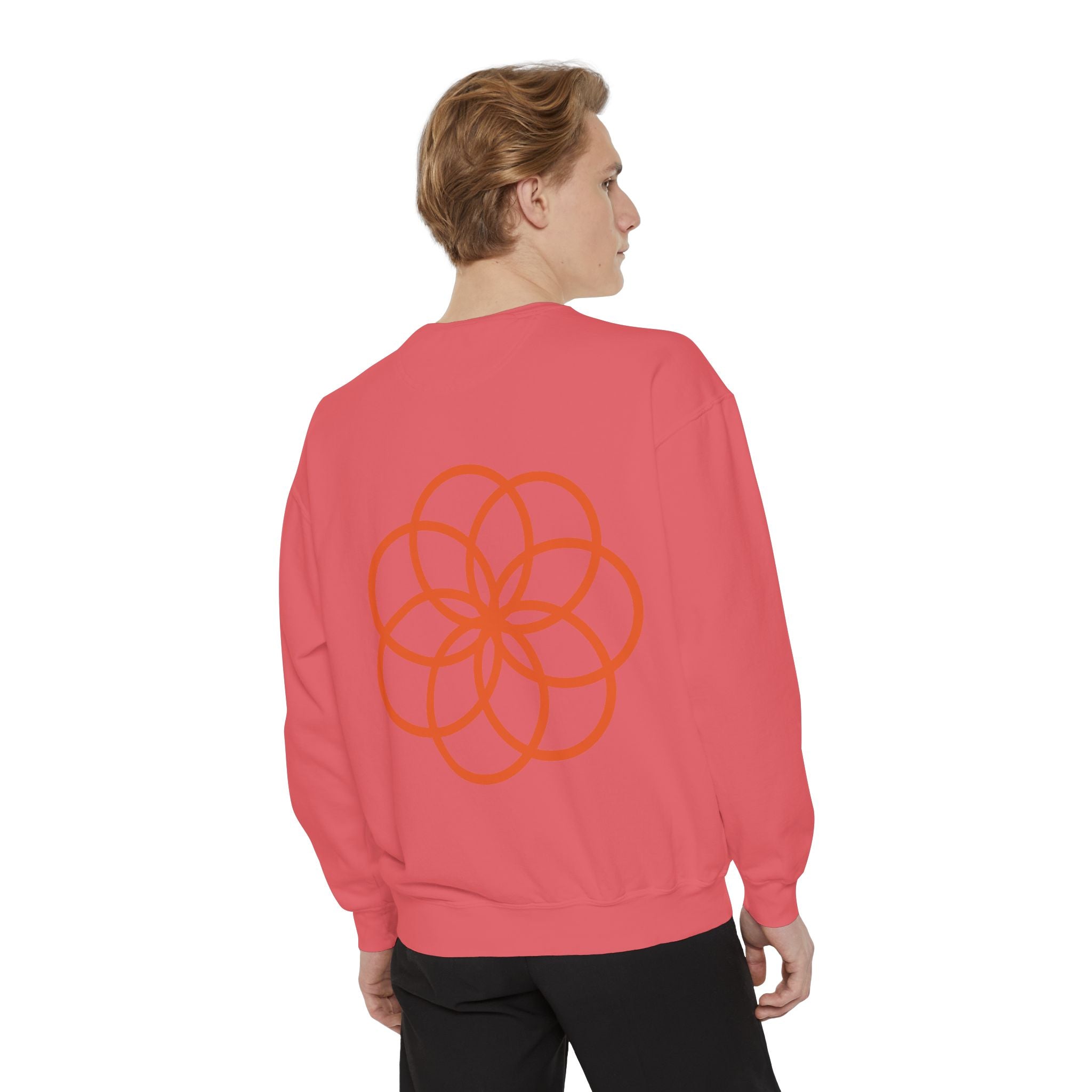 Unisex Garment-Dyed Sweatshirt - planetplanasspace