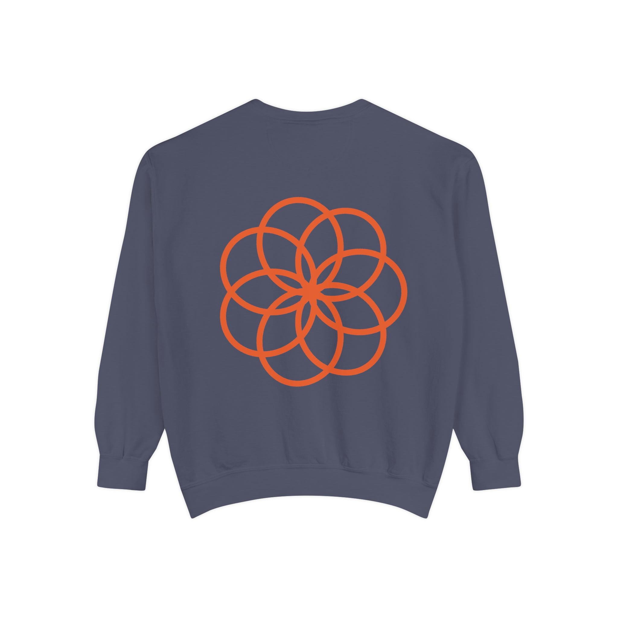 Unisex Garment-Dyed Sweatshirt - planetplanasspace