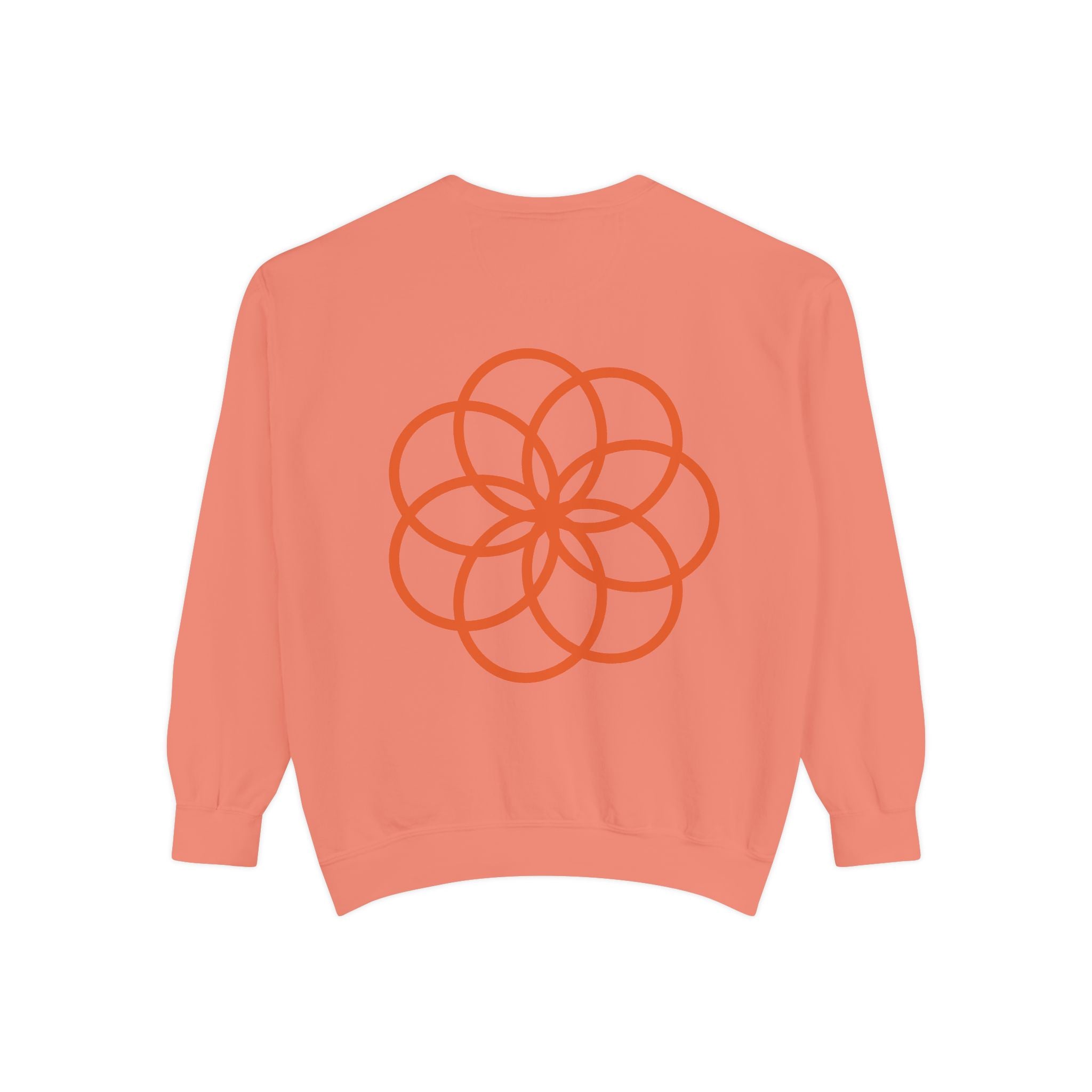Unisex Garment-Dyed Sweatshirt - planetplanasspace