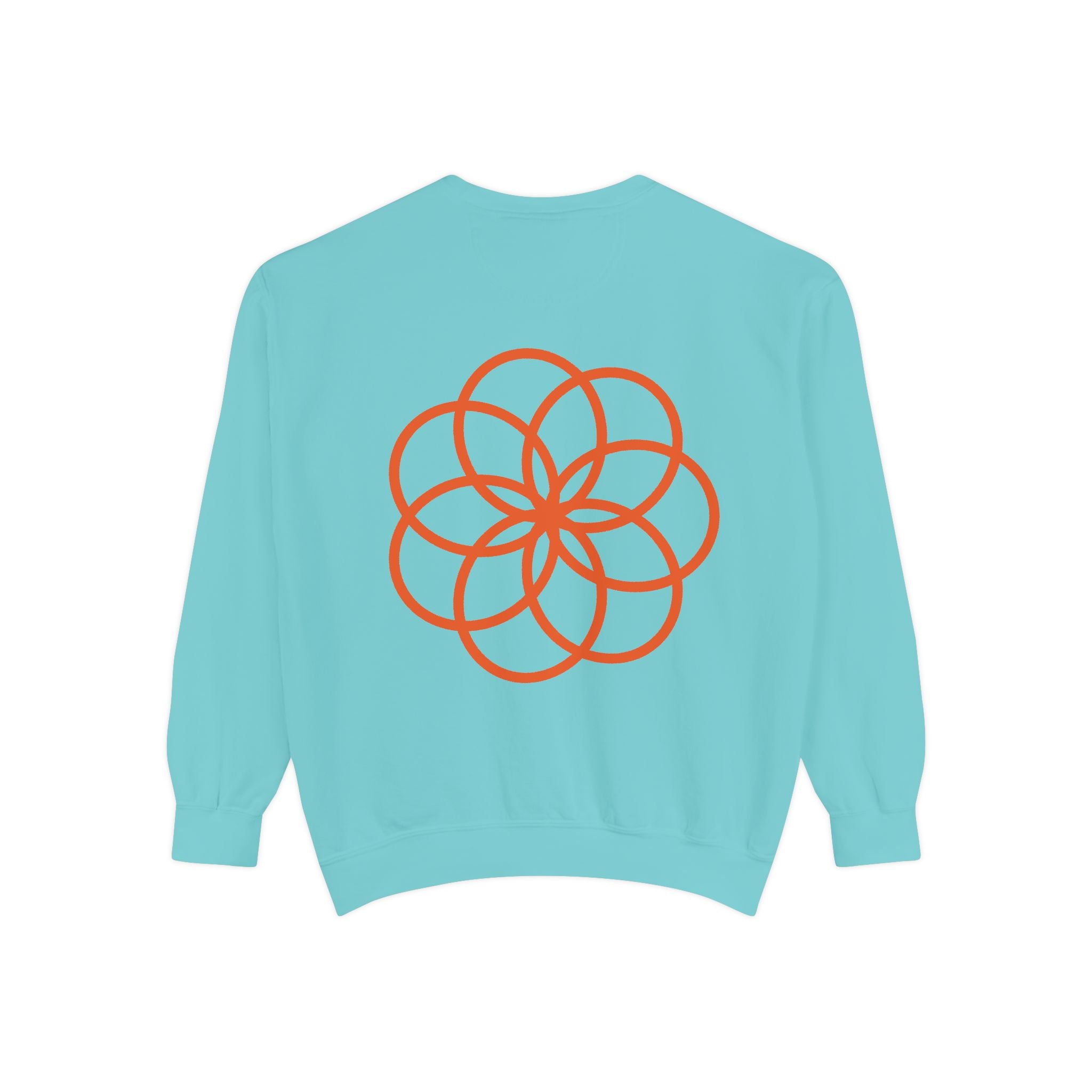 Unisex Garment-Dyed Sweatshirt - planetplanasspace