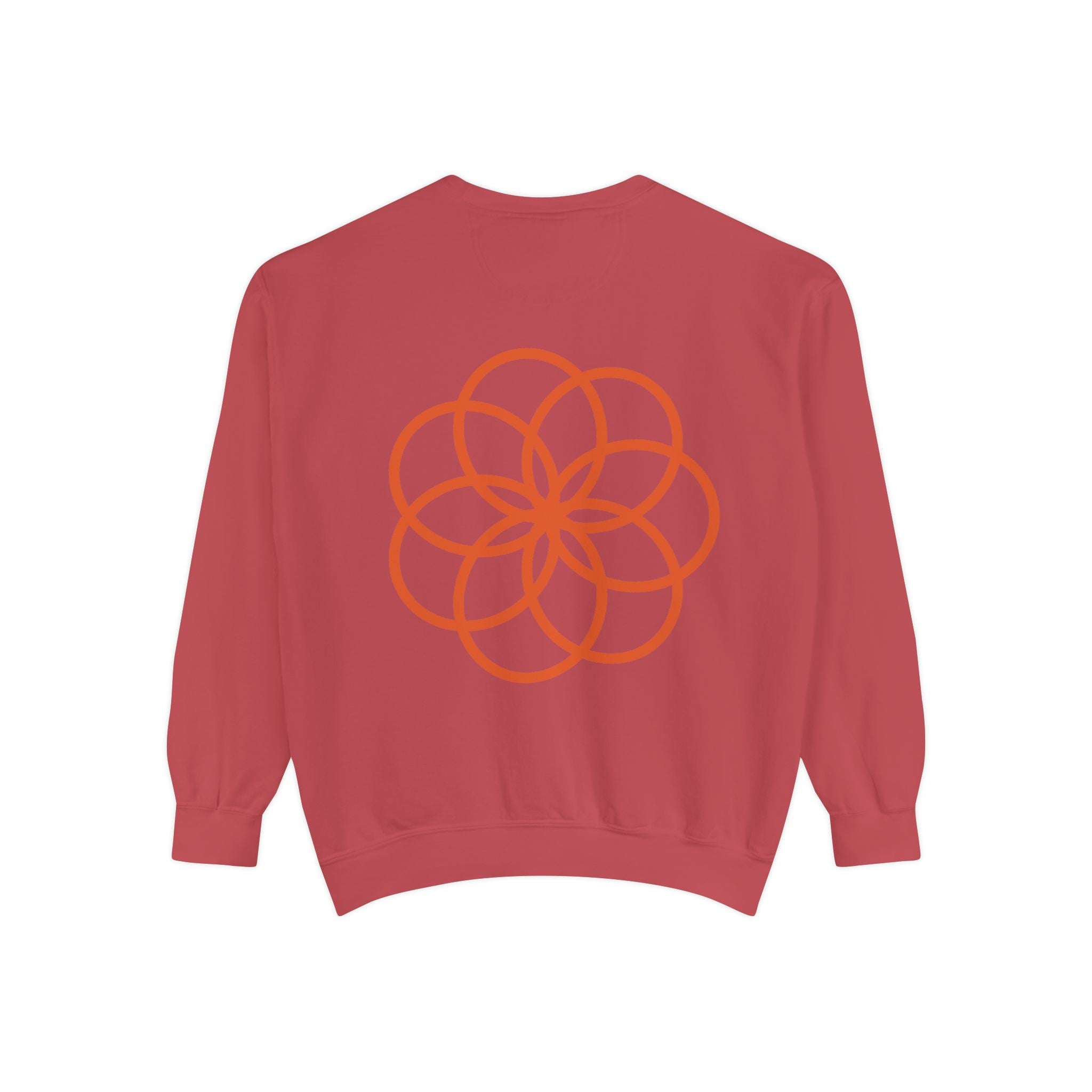 Unisex Garment-Dyed Sweatshirt - planetplanasspace