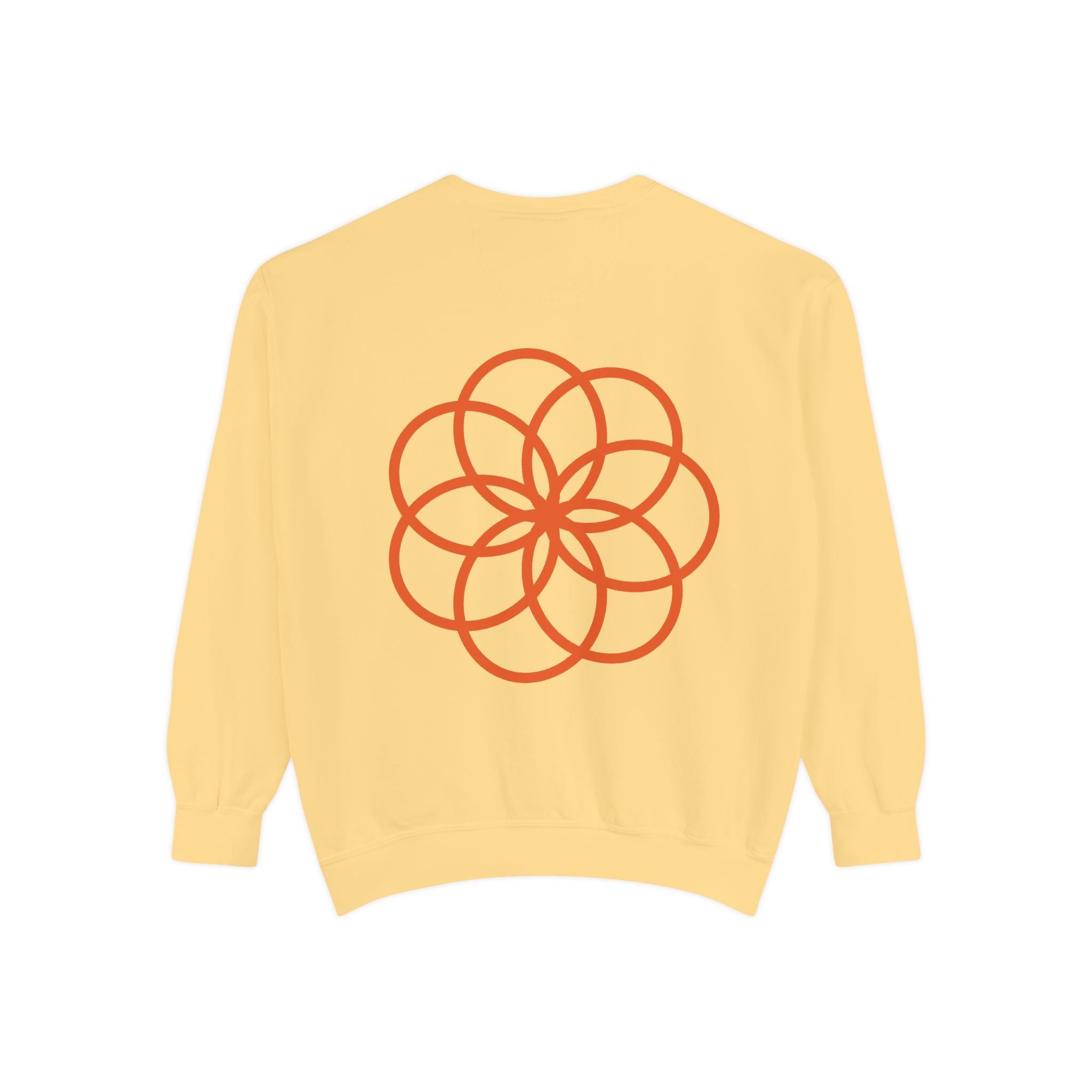 Unisex Garment-Dyed Sweatshirt - planetplanasspace