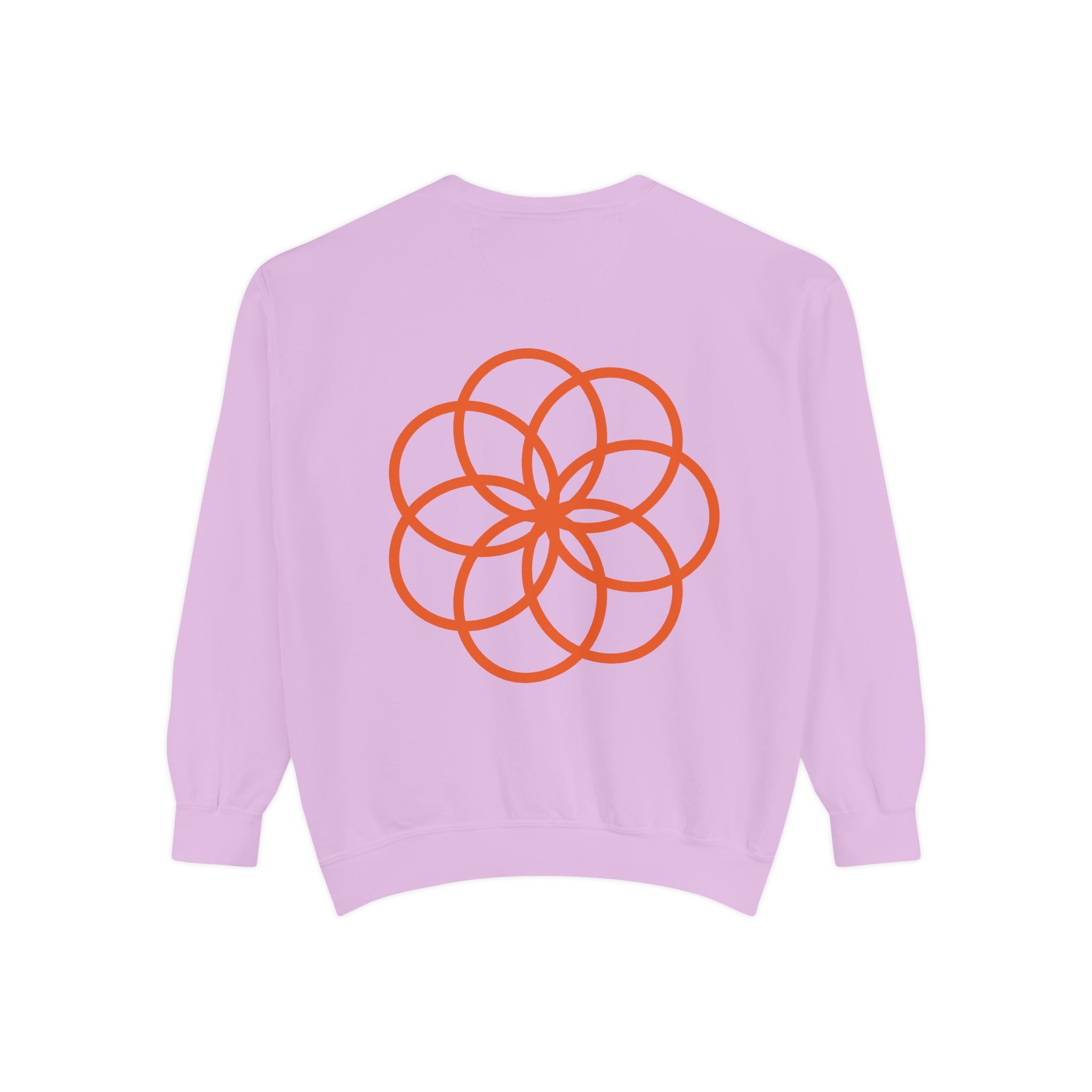 Unisex Garment-Dyed Sweatshirt - planetplanasspace